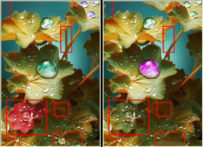 Екатерина Евтушенко | Васильков