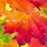 Екатерина Кузина ♥ღ♥ღ | Выборг