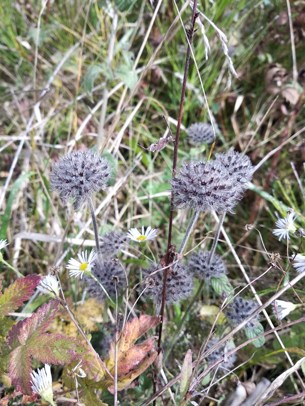 Марина Филатова | Новомосковск