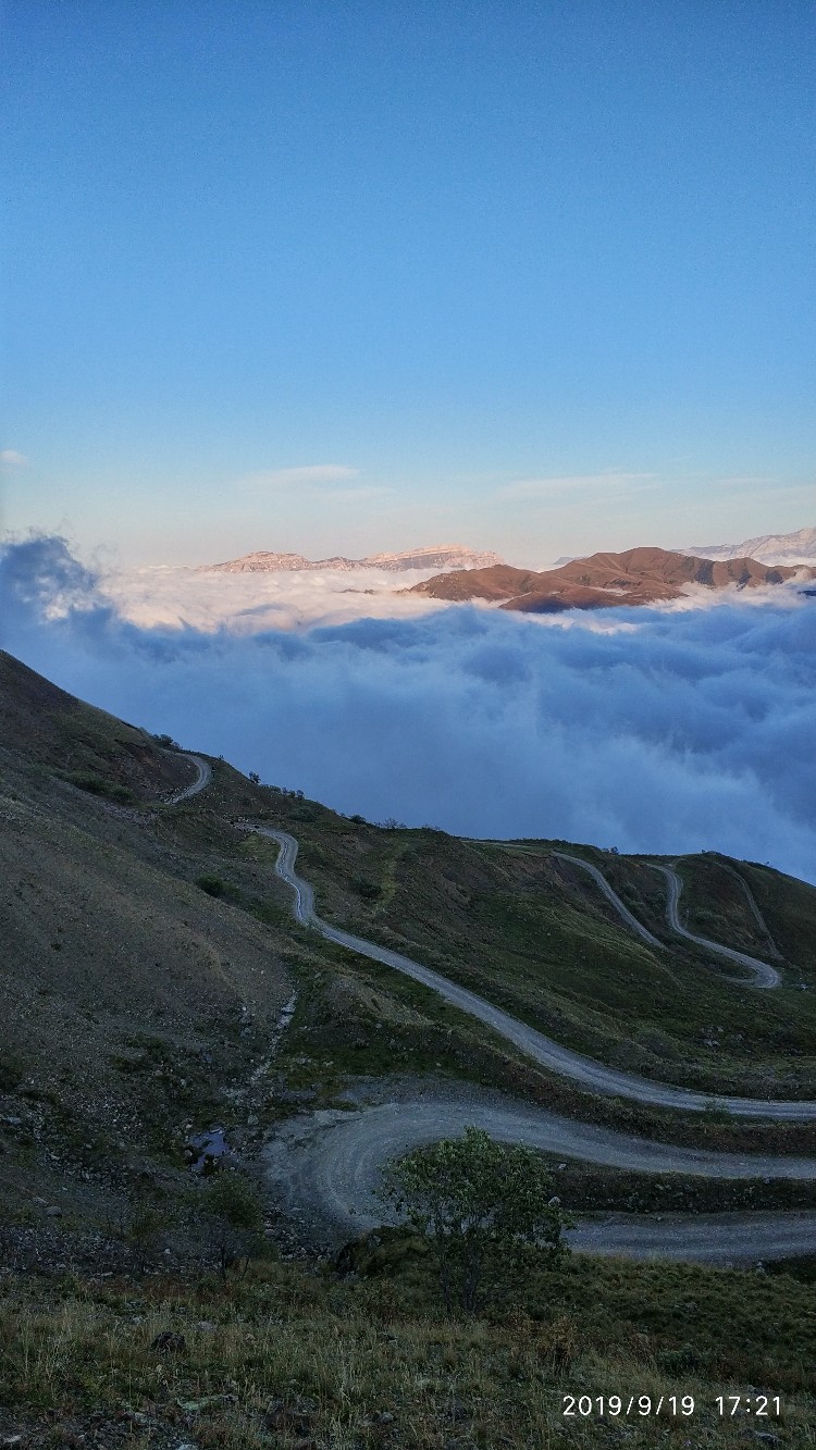 Алексей Борисенко | Санкт-Петербург
