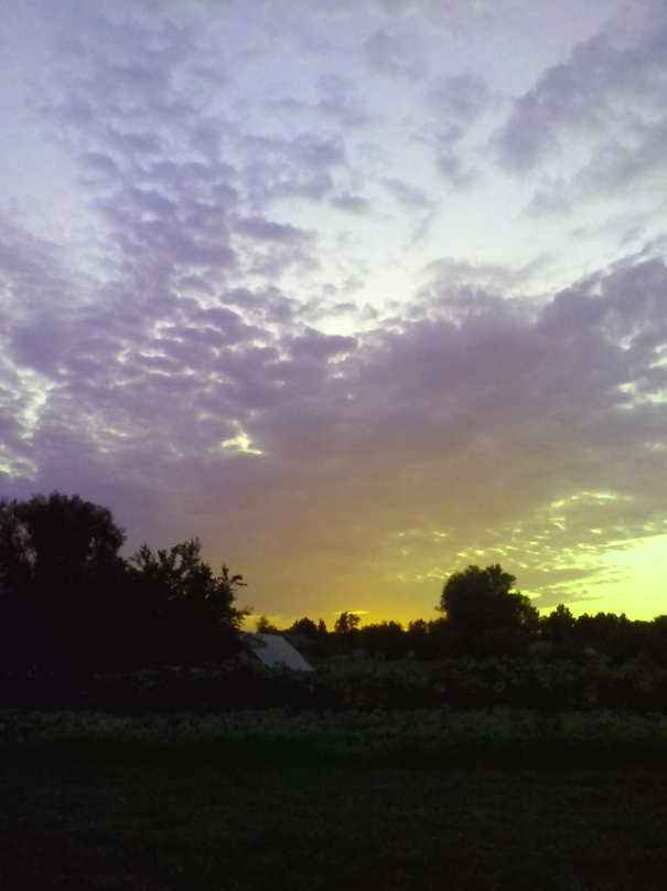 Екатерина Чубенко | Луганск