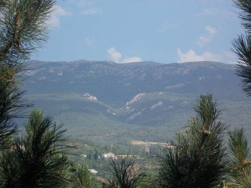 Света Коваль | Монастырище