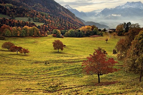 Алексей Ахмедов | Санкт-Петербург