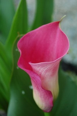 Наталия Соловьева | Оренбург