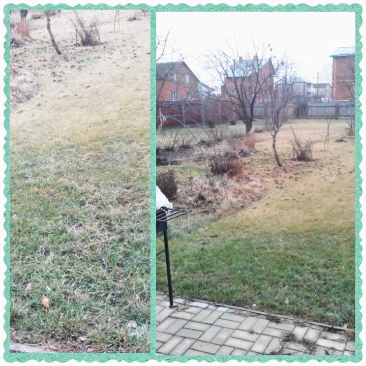 Анна Давыдкина |