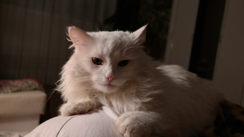 Денис Карпов | Ступино