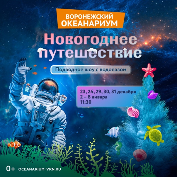Воронежский океанариум (Star&Mlad), Воронеж - "Воронежский Океанариум превзошел