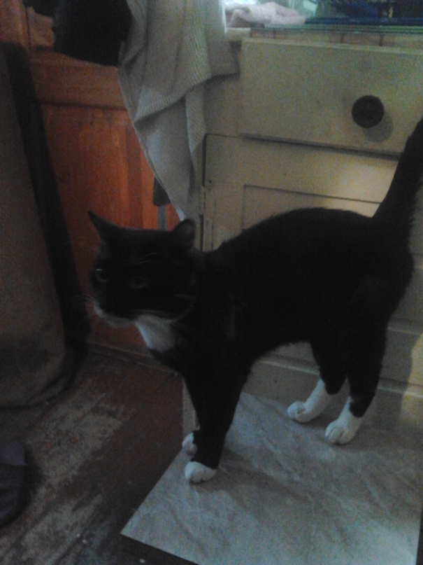 Алеся Смирнова | Петрозаводск