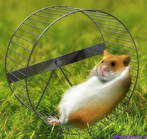 Максим Сушков | Санкт-Петербург