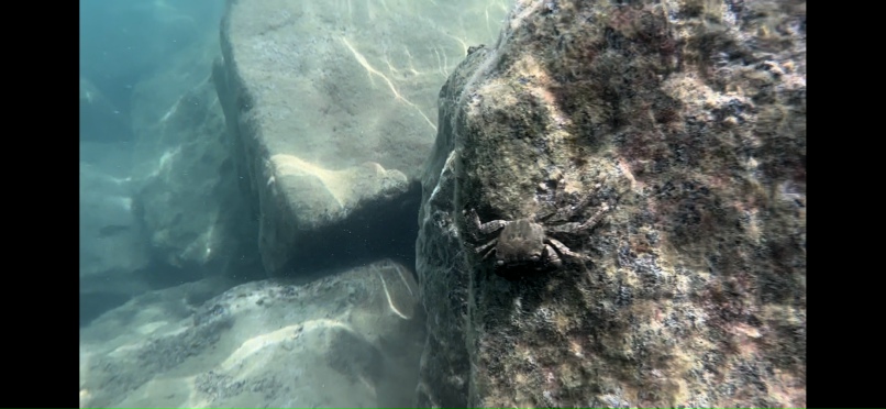 Яна Кириллова | Санкт-Петербург