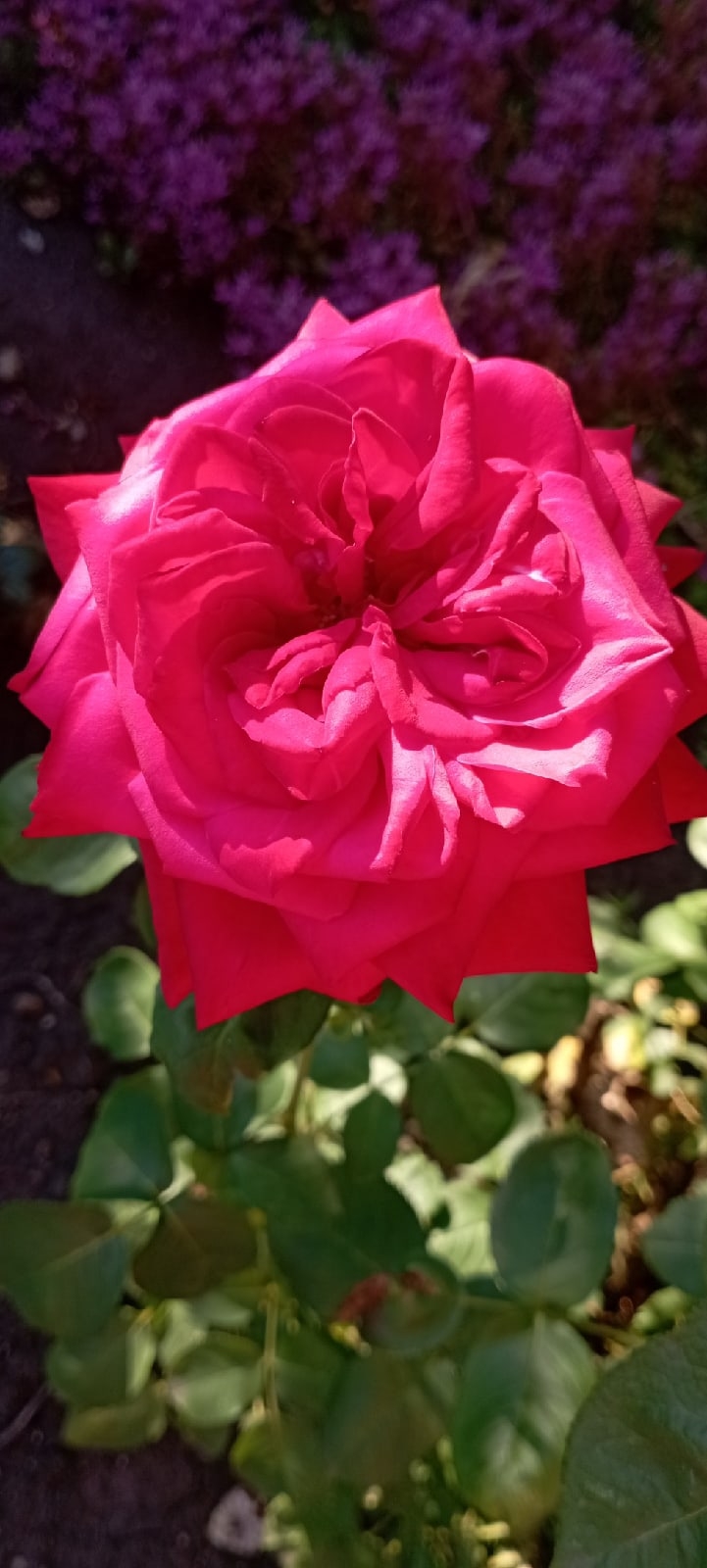 Наталья Борова | Самара