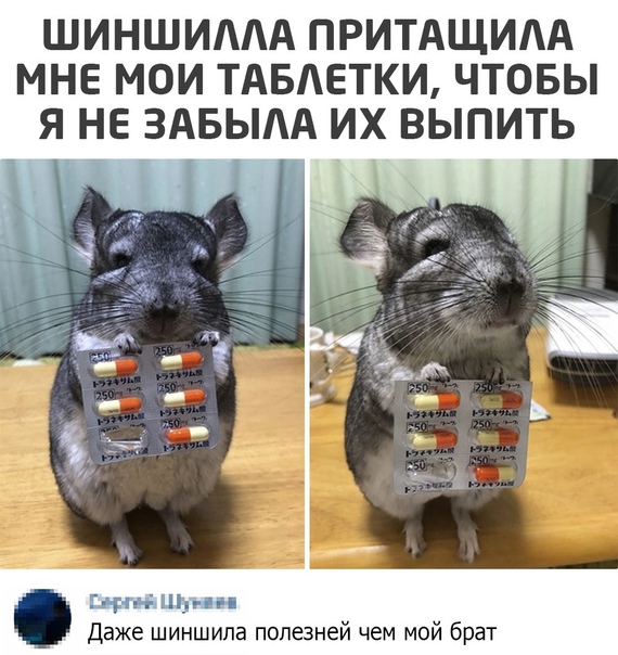 угарные фоточки