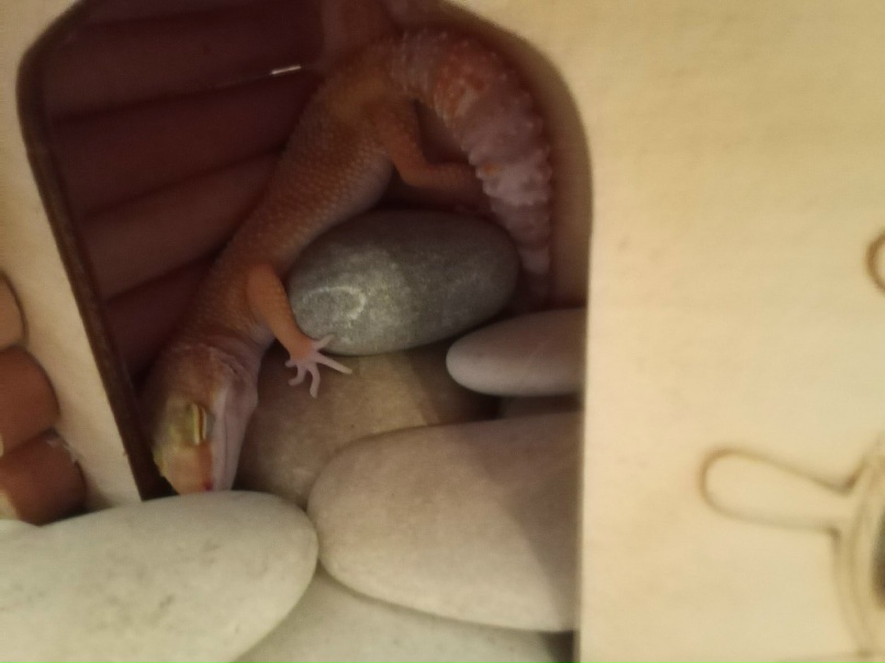 Екатерина Воронкова | Волгоград