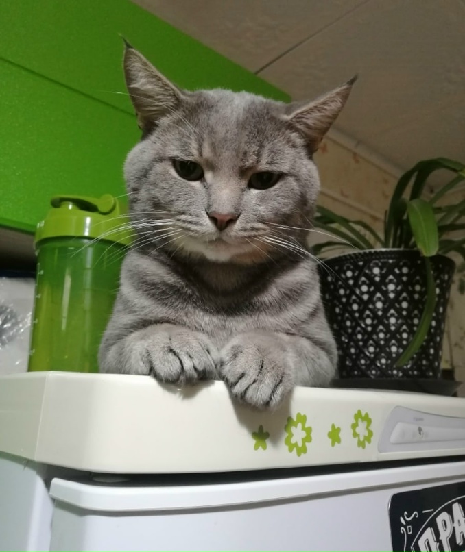 Ксения Гуляева | Лесосибирск