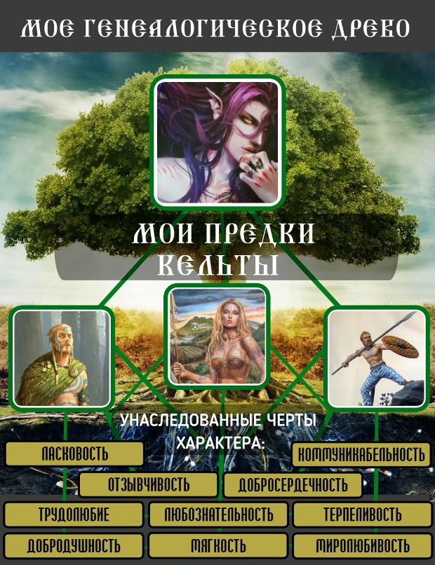 Анна Васина | Череповец