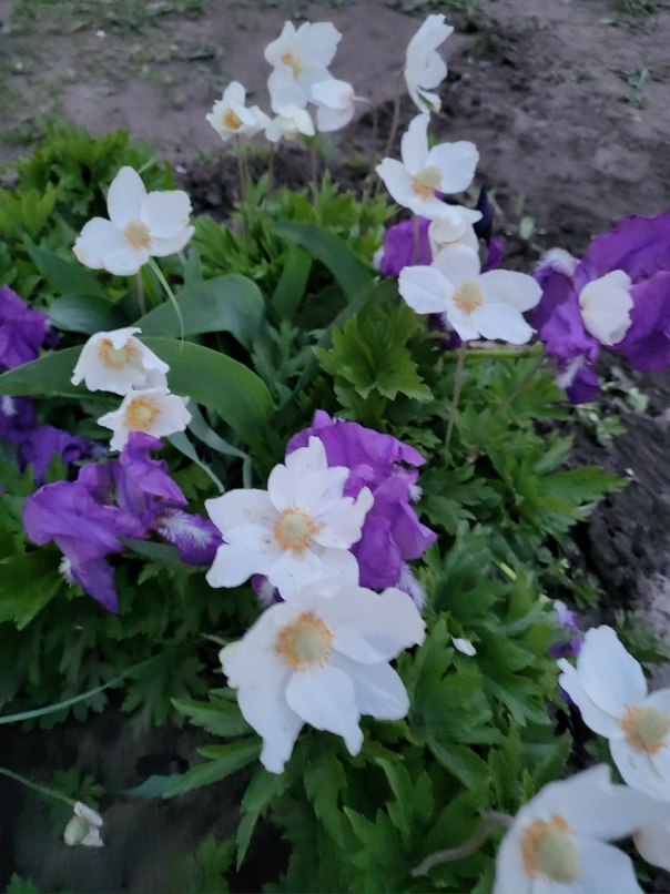 Юля Иванова | Курган