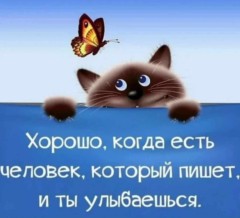 Хороший день юмор Хороший день юмор