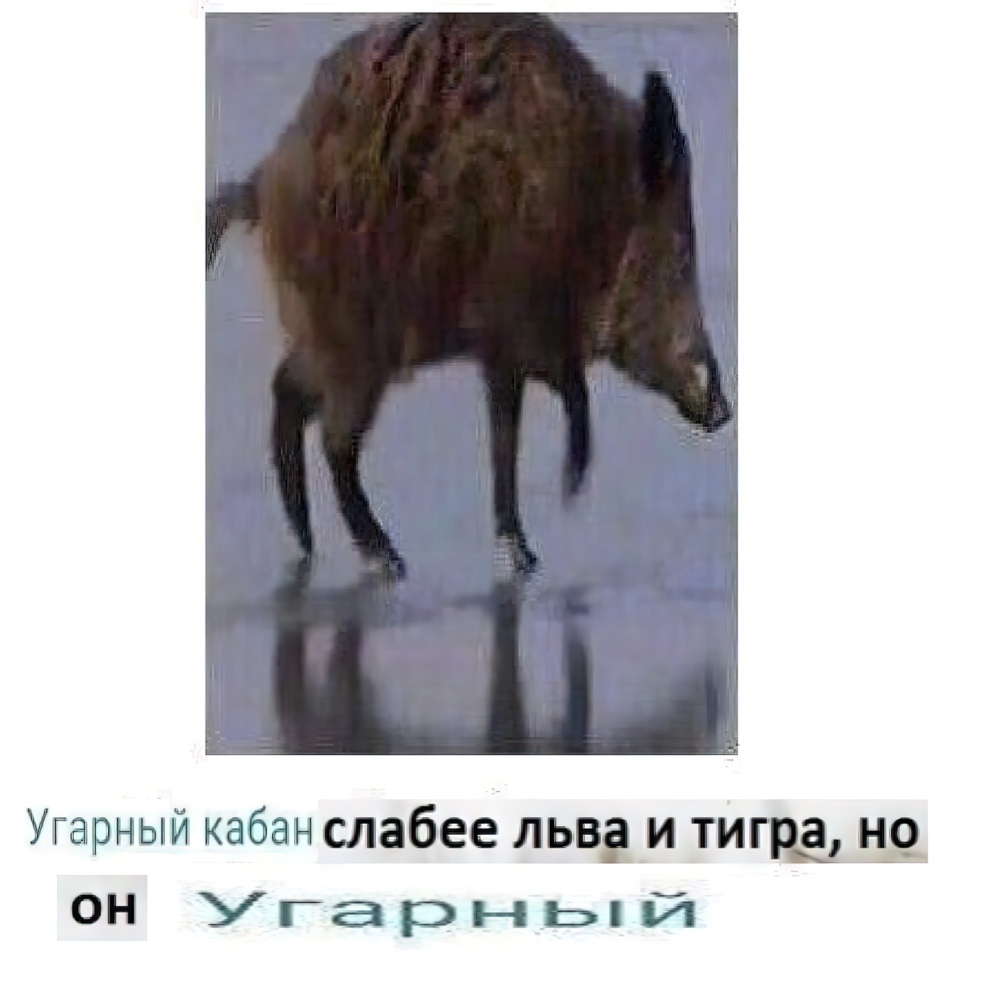 9d1oYBCmz9s.jpg?size=982x1003&quality=96&sign=13aac2c2d199c33a47af081c2d6ea8e5&type=album