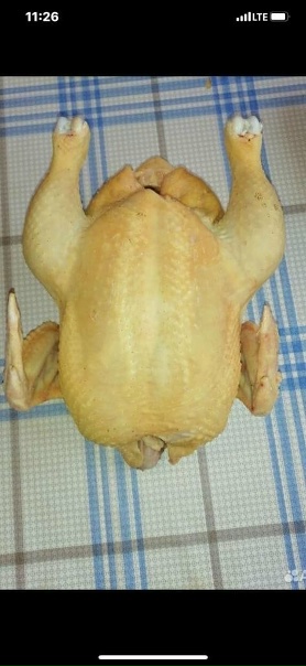 Продам домашний броллер, мясо чистое и вкусное. Халиль. Вес от 2,5 . Цена 350₽ кг