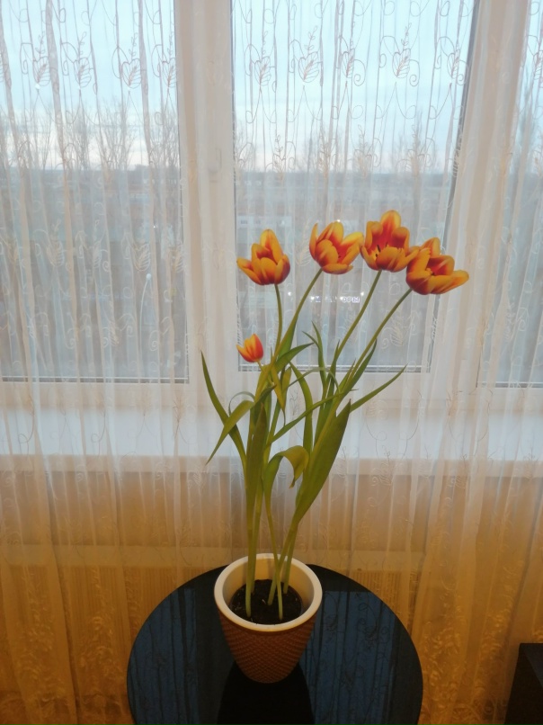 Оксана Буракова | Тольятти