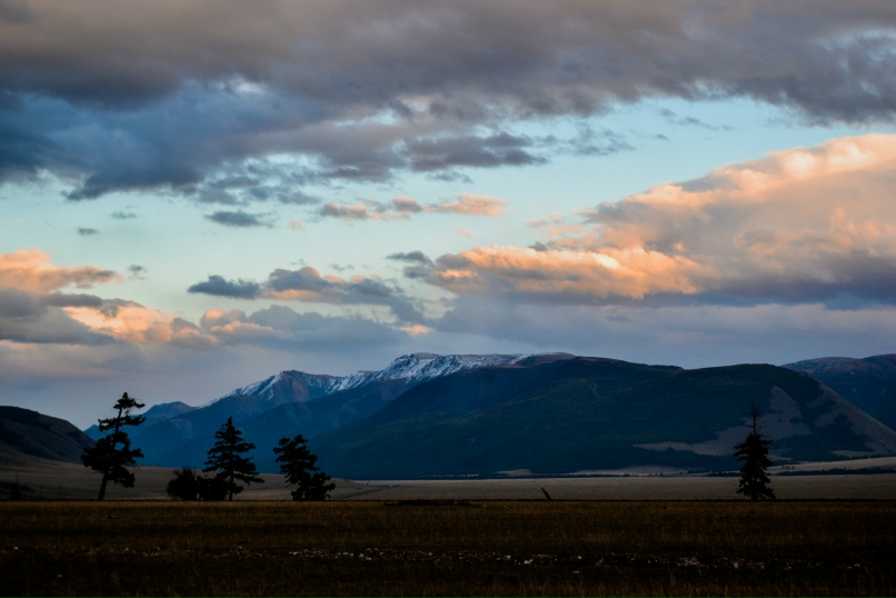 Мария Соболевская | Барнаул