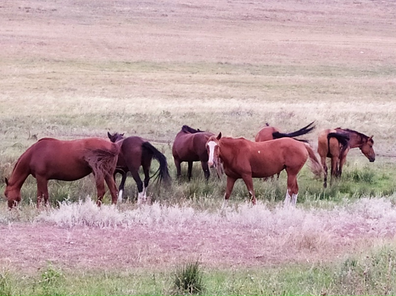 Дмитрий Маслов | Свердловск / Должанск