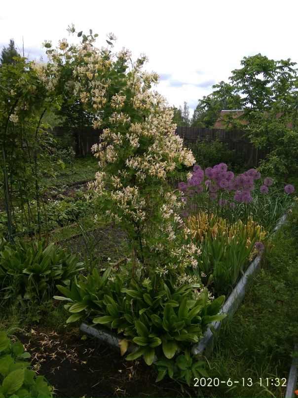 Елена Озерова | Вышний Волочек