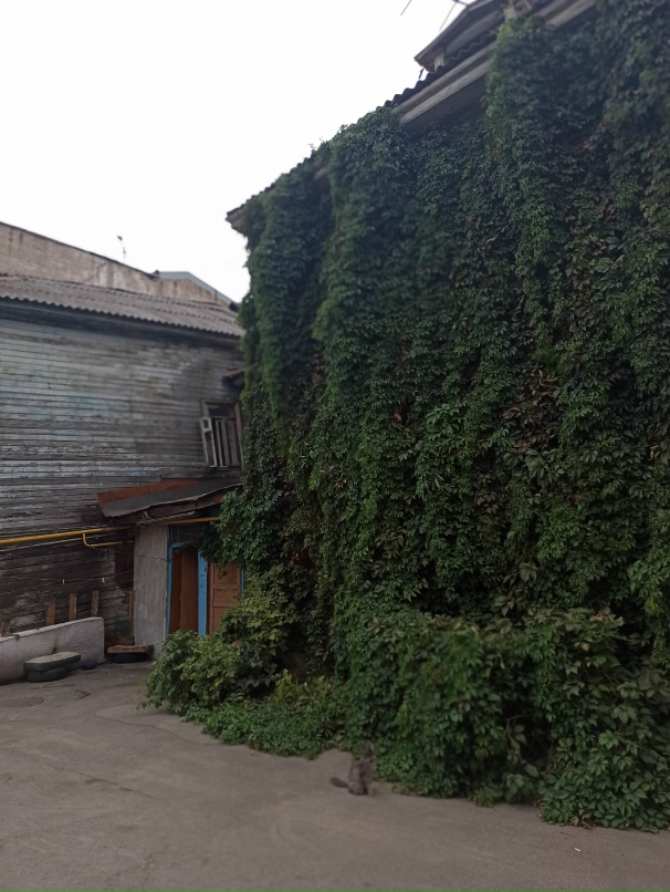 Алёна Уколова | Новокуйбышевск