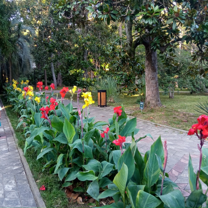 Оля Губанова | Липецк