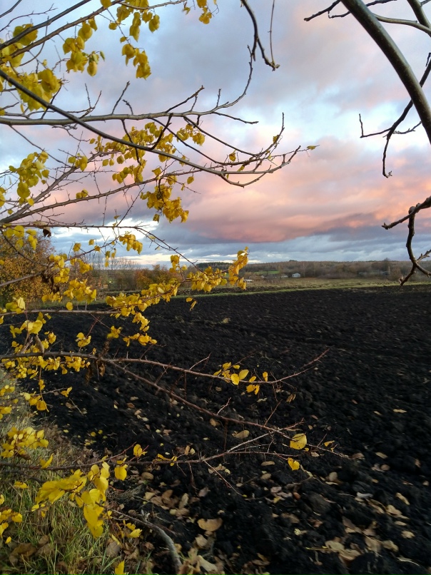 Ольга Жуйкова | Курск