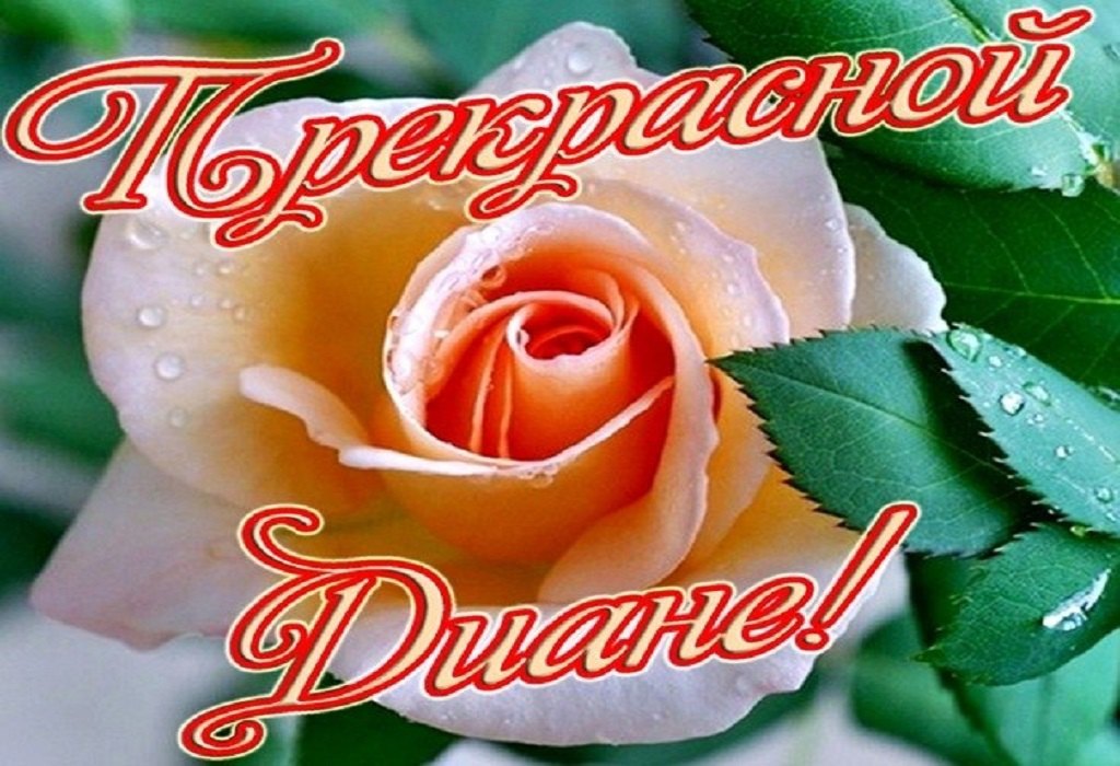 Поздравляем Файзутдинову Диану с Днём Рождения! Всего хорошего тебе, Диана! Оста
