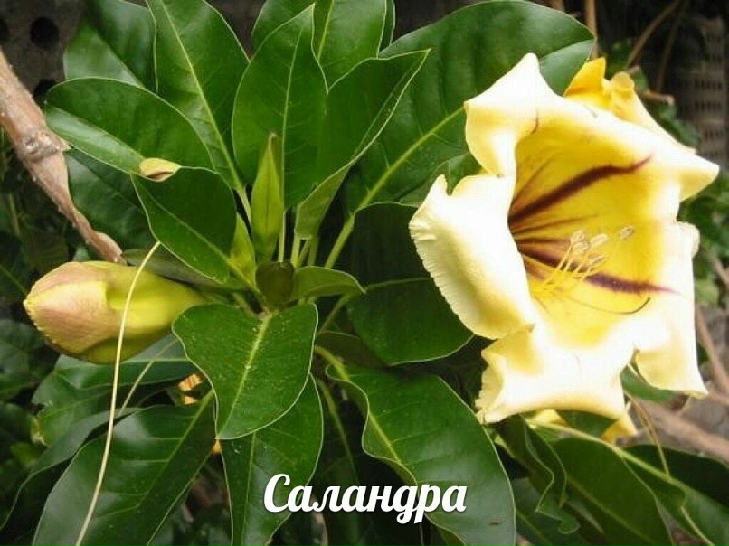 Марина Ситникова | Уфа