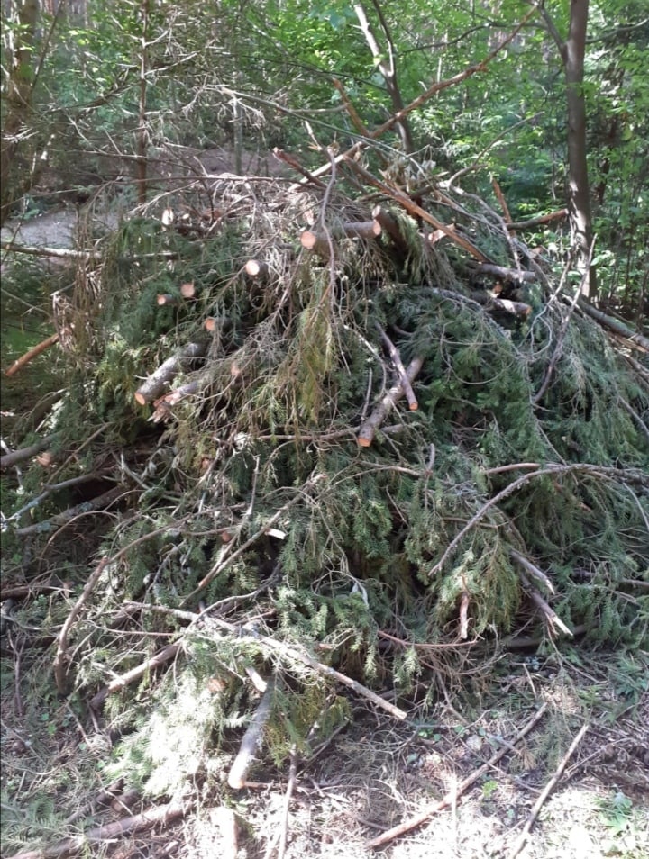 Ездила недавно в д. Верхние Юри. Ужаснулась.