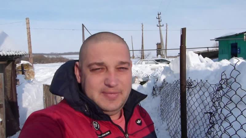 Овцы бегут из сарая, Снежная зима, Жизнь в