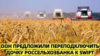 ООН предлагает подключить дочку Россельхозбанка к SWIFT и разблокировать активы роскомпаний