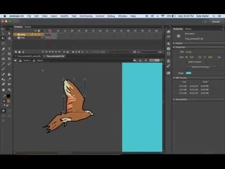 Анимируем полет птицы в Adobe Animate CC