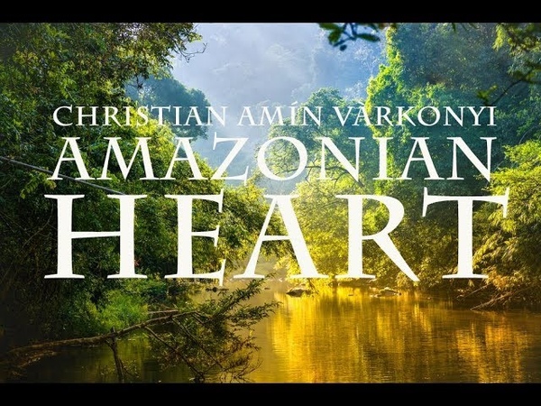 AMAZONIAN HEART I Amín