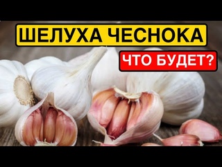 Это творит ШЕЛУХА Чеснока! Даже щепотки хватит. НИКОГДА НЕ ВЫБРАСЫВАЙТЕ Чесночную ШЕЛУХУ!!!