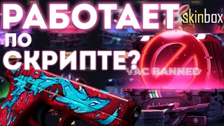 САЙТ РАБОТАЕТ ПО СКРИПТЕ | ПРОВЕРКА SKINBOX |