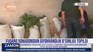 Fuqaro xonadonidan giyohvandlik osimligi topildi
