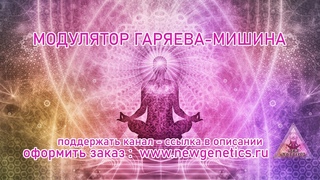 Гаряев П. П. рассказывает про Модулятор Гаряева-Мишина. Garyaev P. P.  talks about modulator.