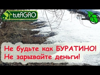 ШОК! ЗАЧЕМ ЛЮДИ ВЫБРАСЫВАЮТ ДЕНЬГИ И ВРЕДЯТ СЕБЕ Не кормите растения по снегу!