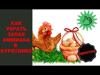 Как избавиться от запаха в курятнике. Простой, дешёвый и рабочий способ | ЛПХ Курочка