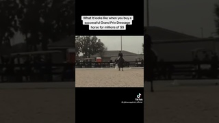 Dressage Disaster: Katherine Bateson Chandler & Haute Couture Grand Prix Dressage