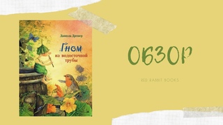 Обзор детской книги Гном из водосточной трубы, Даниэла Дрешер
