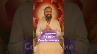 Мауна Безмолвие Созерцание Мастера Явлено ВСЕМ 💛🙏 Мастер Пранава #любовь #love #masterpranava #свет