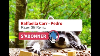 Raffaella Carr - Pedro (Razer Stil Remix) DNB Drum and bass PEDRO