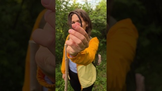 Поделки! Смартфон!  Don't have a tripod No problem...! #camping #camping #survival #bushcraft #outdoor