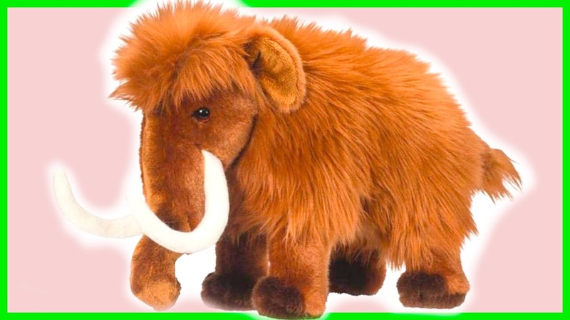 родина мамонтов. сибирский шерстистый мамонт. шерстистый мамонт (woolly mammoth). карликовый шерстистый мамонт. мягкая игрушка мамонт.