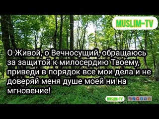 Поминание Аллаха вечером азкары с переводом чтец Мишари Рашид